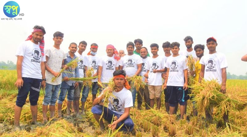 রংপুরে কৃষকের ধান কাটতে