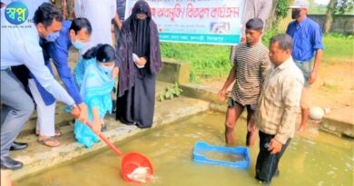 দিনাজপুরের ফুলবাড়ীতে মাছের পোনা