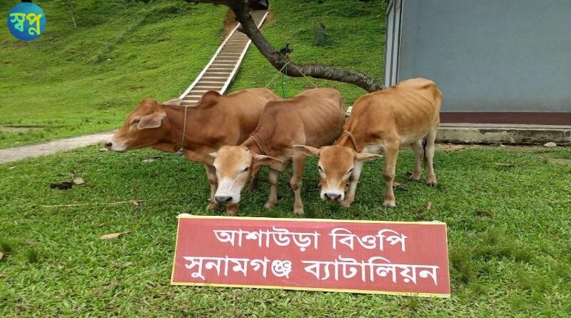 সুনামগঞ্জ সীমান্তে ৭ লক্ষাধিক