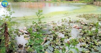 নড়াইলে শত্রুতা করে